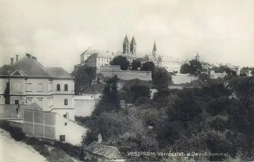 Postcard Hungary Veszprem Varreszlet a Davidikummal