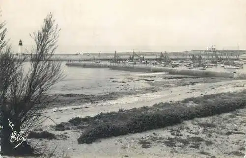 Postcard France Charente Maritime > Ile d'Oléron