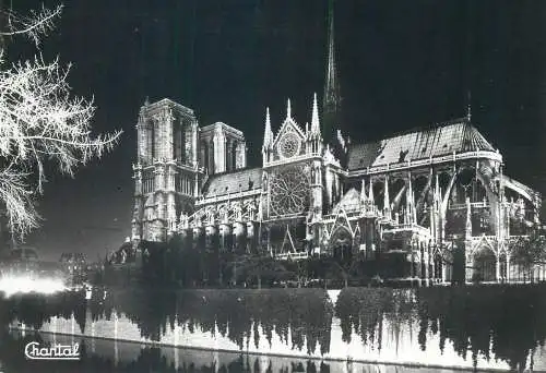 cpsm France Paris Notre Dame illuminee