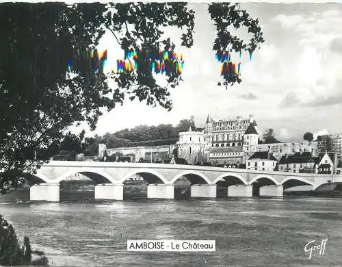 cpsm France Amboise chateau