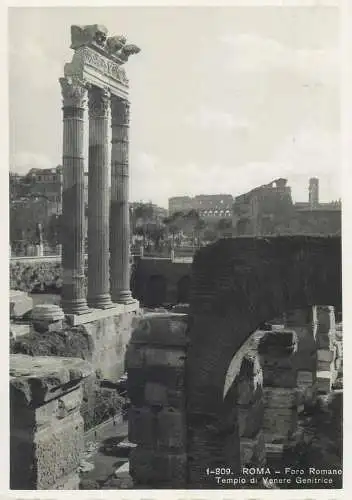 Italy Roma Foro Romano Tempio di Venere Genitrice