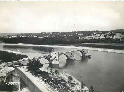 cpsm France Vaucluse > Avignon Pont saint Benezet et le Rhone