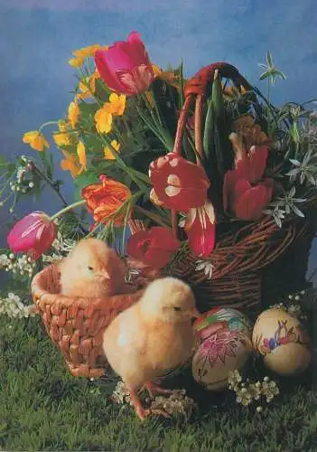 Easter Holiday greetings painted eggs colourful floral decorative arrangement chicken poultry