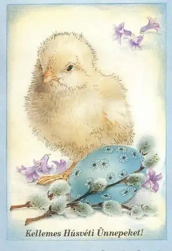 Happy Easter Holidays greetings painted egg blossom willow branch chicken