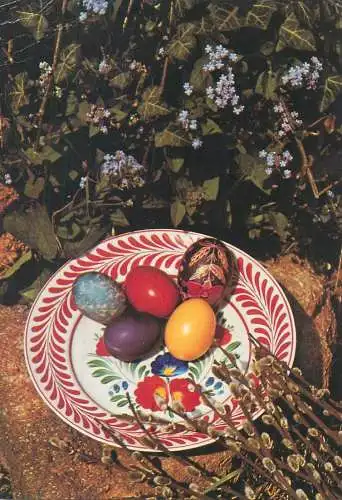 Happy Easter Holidays greetings painted eggs on flower decorated plate
