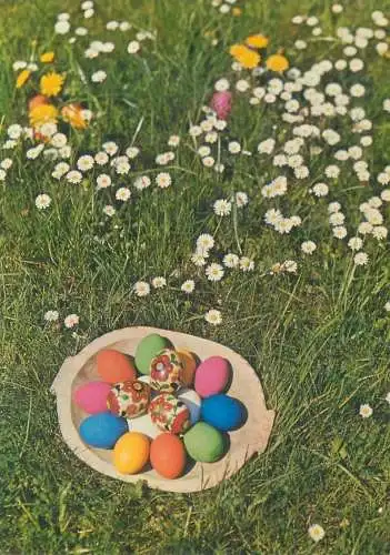 Easter greetings painted eggs flowery field detail view