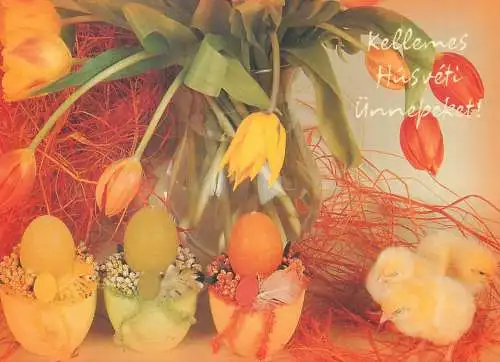 Easter greetings painted eggs chicken poultry tulips