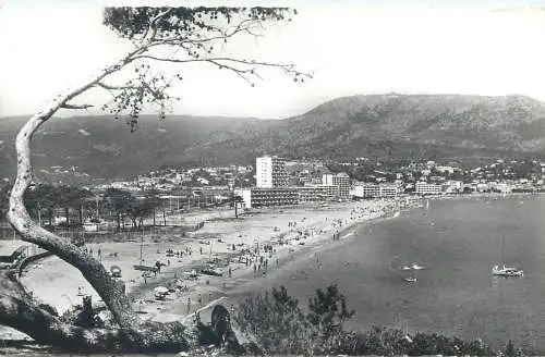 cpsm France Var > Le Lavandou la cote d'Azur 1963