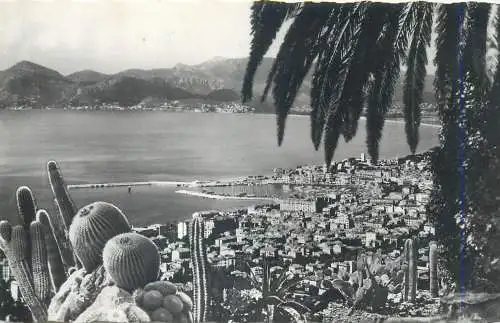 cpsm France Alpes Maritimes > Cannes la cote d'Azur vue vers l'Esterel