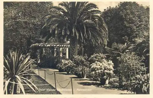 Postcard Germany Bodensee Mainau island