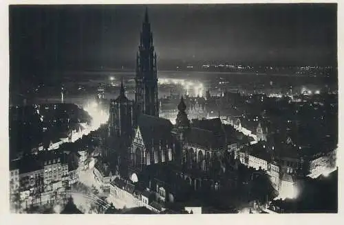 Postcard Belgium Anvers night view cathedral