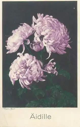 Postcard flower vase Aidille