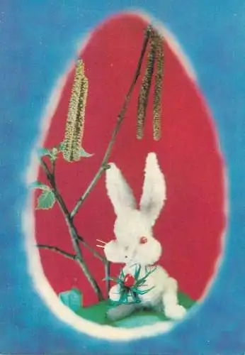 Easter greetings rabbit illustration