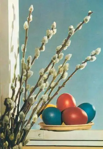 Easter greetings painted eggs blossom willow branches