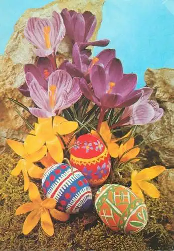 Easter greetings painted eggs and flowers