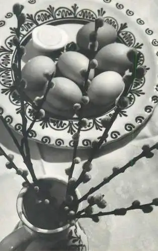 Easter greetings eggs blossom willow branch