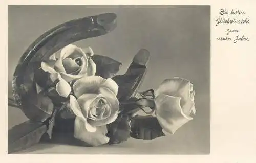 New Year greetings horseshoe garden roses
