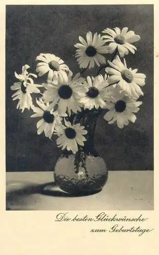 daisies vase floral arrangement birthday greetings postcard