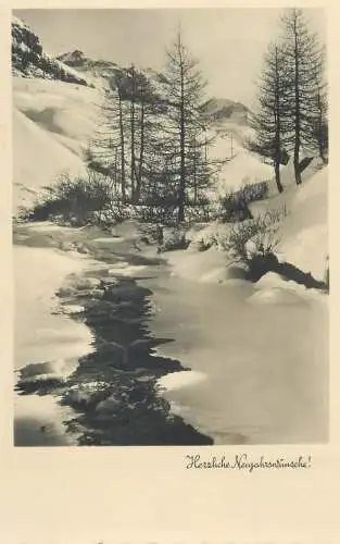 snow-covered picturesque natural landscape winter day greetings postcard