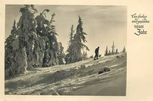 New Year greetings snow-covered mountain scenery ski types and scenes