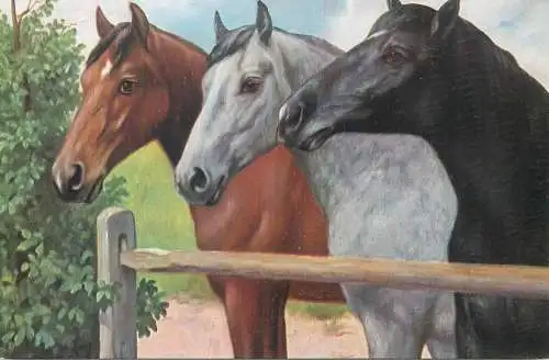 animals in art horses drawing