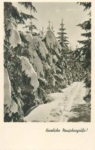Greetings New Year snow-covered forest landscape winter scenery