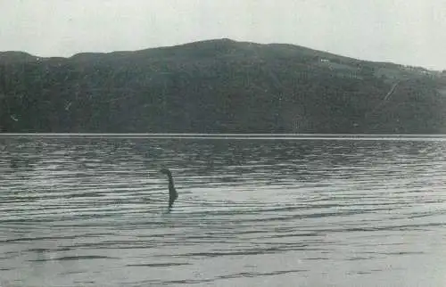 Loch Ness Monster 1974 photo fantasy