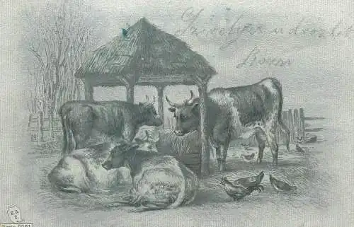 cows and poultry farm animals pencil drawing