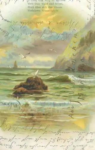 picturesque sea scenery seagulls