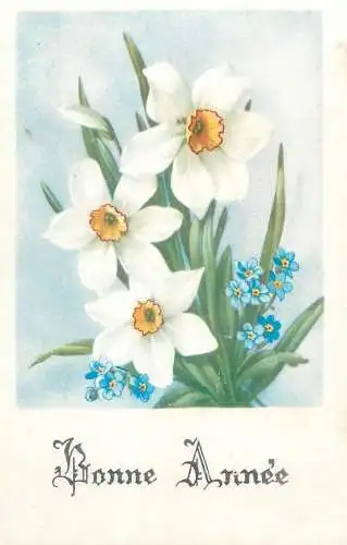 New Year Greetings Postcard daffodils