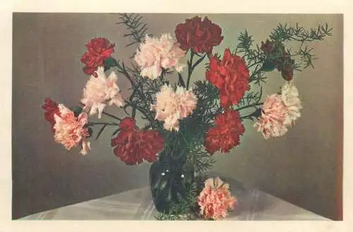 Flora Postcard carnations colourful vase floral decorative arrangement
