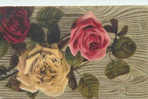 Flora Postcard garden roses bouquet