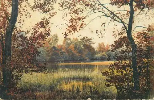 Fine Arts Postcard autumn colours natural landscape painting