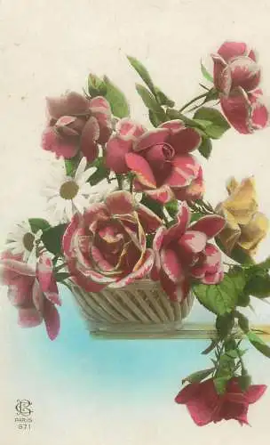 Postcard roses basket floral arrangement still life
