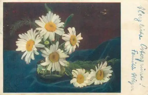 Postcard still life flowers daisies floral arrangement