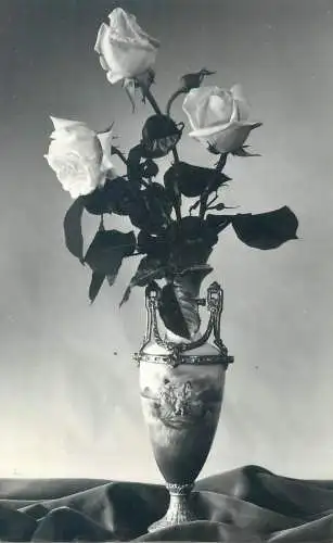 Flora postcard roses vase floral arrangement