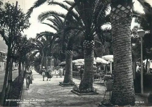 Postcard Italy Spotorno riviera di Ponente