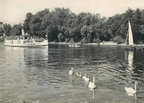 Postcard Germany Potsdam Mitropa Schiffsgastatten der Weiffen flotte Potsdam