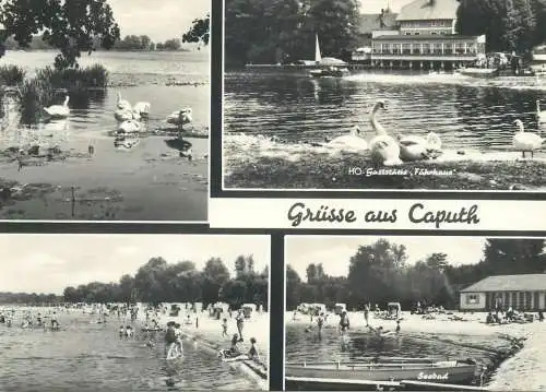 Postcard Germany Grusse aus Caputh multi view