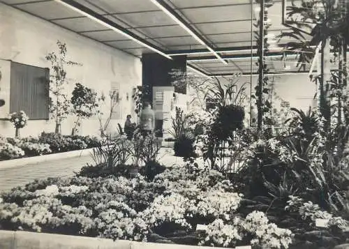 Postcard Germany 1961 Erfurt internationale Gartenbauausstellung