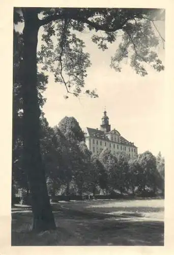Postcard Germany Saalfield Saale schloss