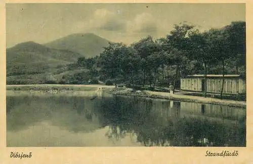 Postcard Hungary Diosjeno Steandfurdo