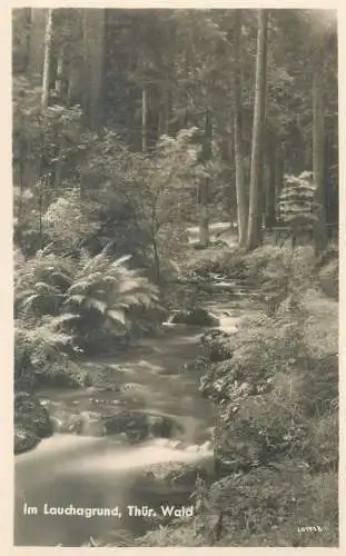 Postcard Germany Lauchagrund Wald