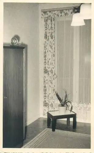 Postcard room corner wardrobe plant detail view