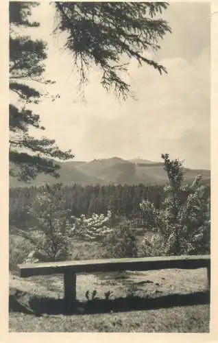 Postcard Germany Luftkurort Finsterbergen