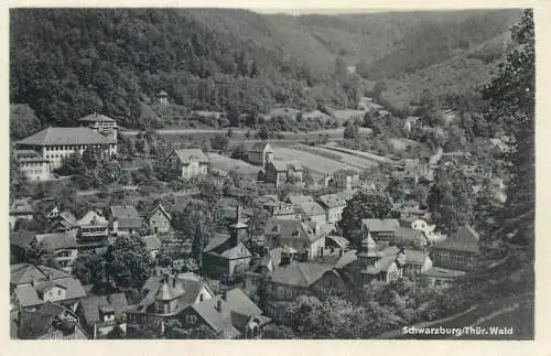 Postcard Germany Schwarzburg Thur. Wald