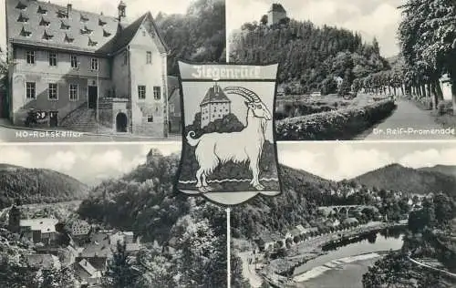 Postcard Germany Ziegenruck Saale