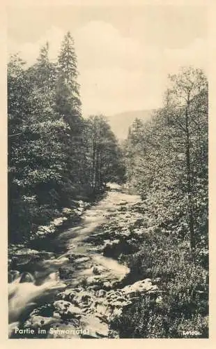 Postcard Germany Partie im Schwarzatel