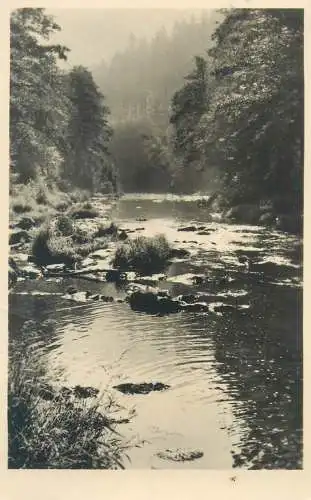 Postcard Germany Schwarzburg Thuringen partie an der schwarza