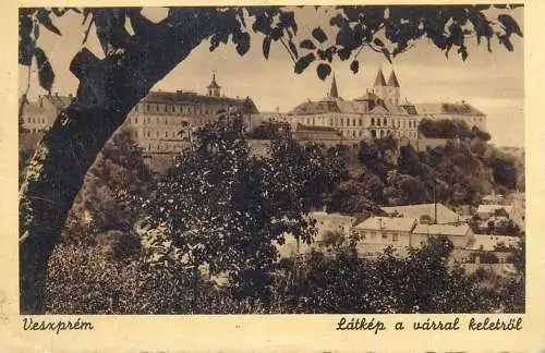 Postcard Hungary Vesxprem Latkep a varral keletrol